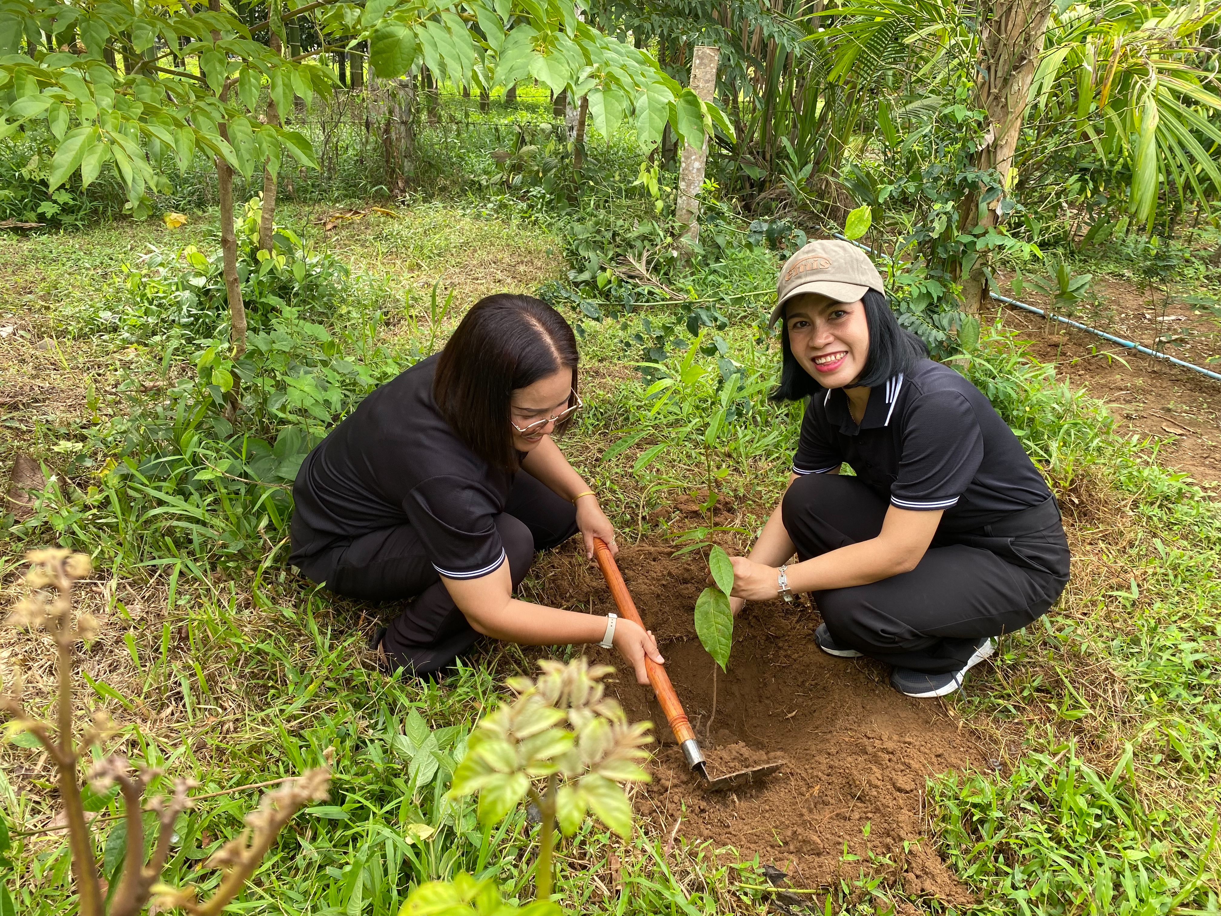 title - สำนักงานการปฏิรูปที่ดินจังหวัดตรัง ร่วมจัดกิจกรรมเนื่องในวันต้นไม้ประจำปีของชาติ พ.ศ.๒๕๖๙